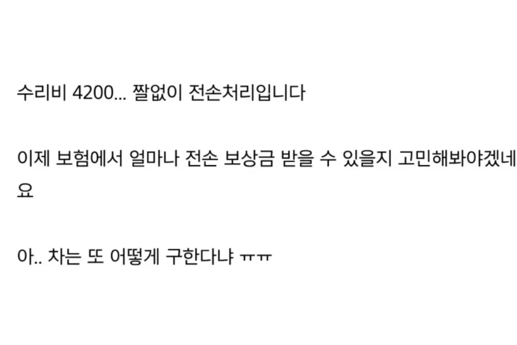 BYD 수리비 논란, 차량 가격과 다른 유지비 변수 관련 이미지