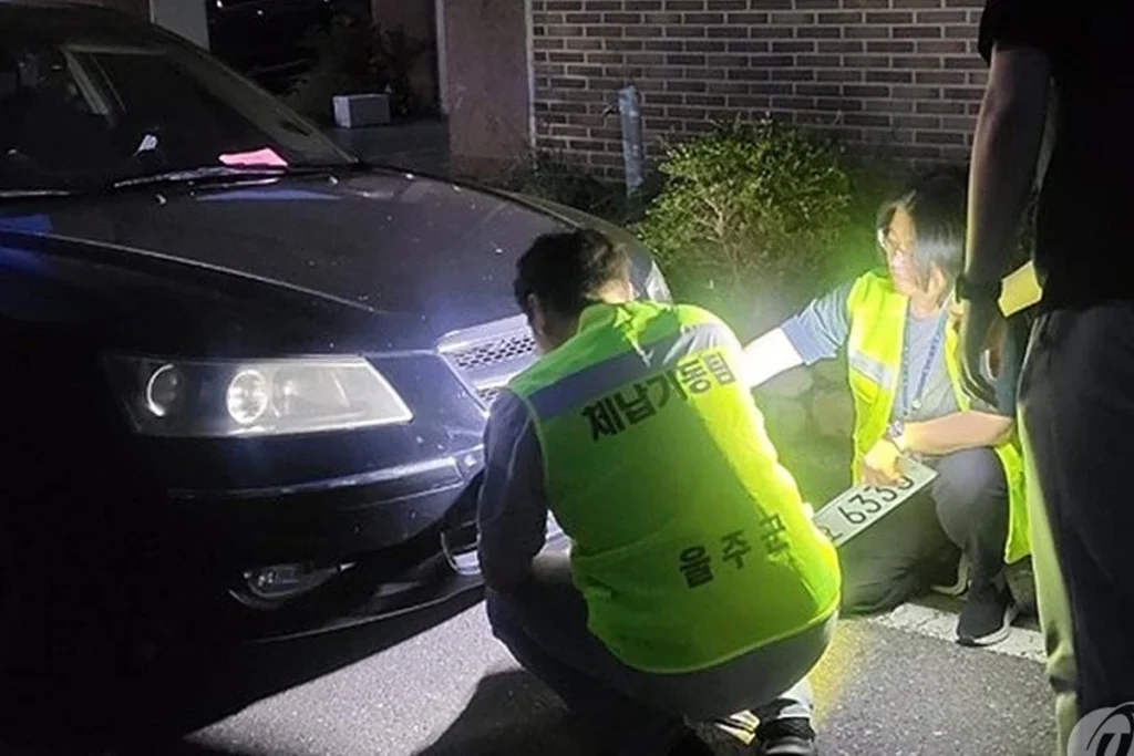 번호판 영치, 대상 차량과 운전자 확인 사항 관련 이미지